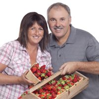 Le roi de la fraise.jpg